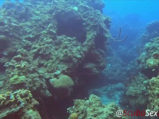 SCUBA Sex in a Miniskirt by a Beautiful Coral Reef - Nudist Video